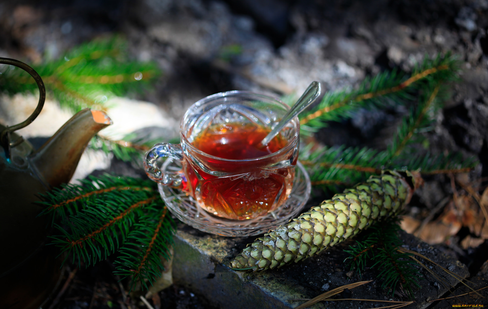 Хвойный напиток. Чай зимний. Чай в лесу. Чай с хвоей. Хвойный настой.